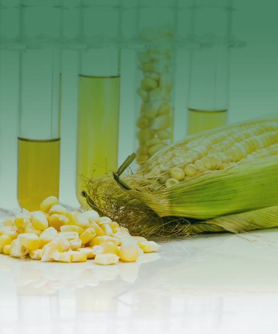 TailorsGroup Φυτικά Έλαια